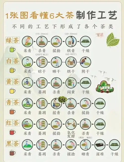 制茶五大常规工艺的作用