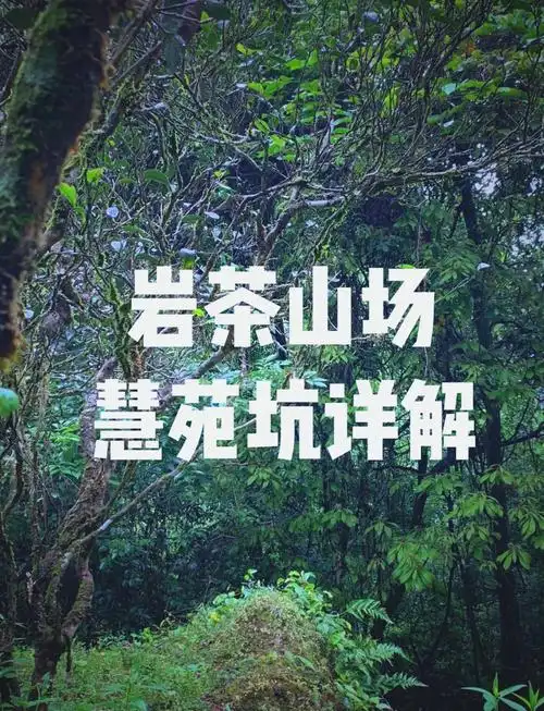 慧苑坑八大山场都有哪些？