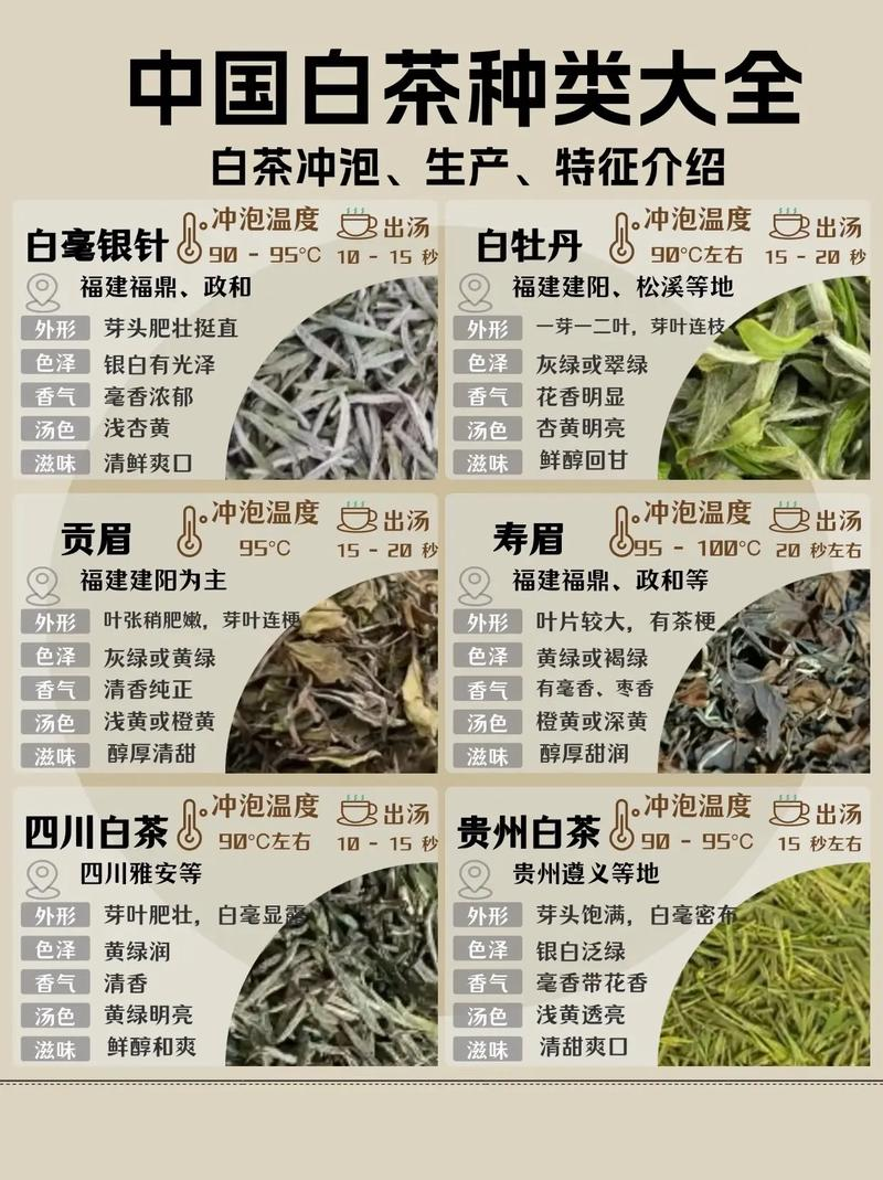 中国白茶种类大全