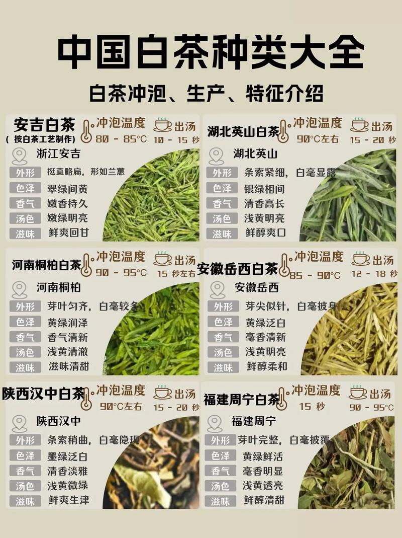 微信图片_2026-06-10_143833_624.png