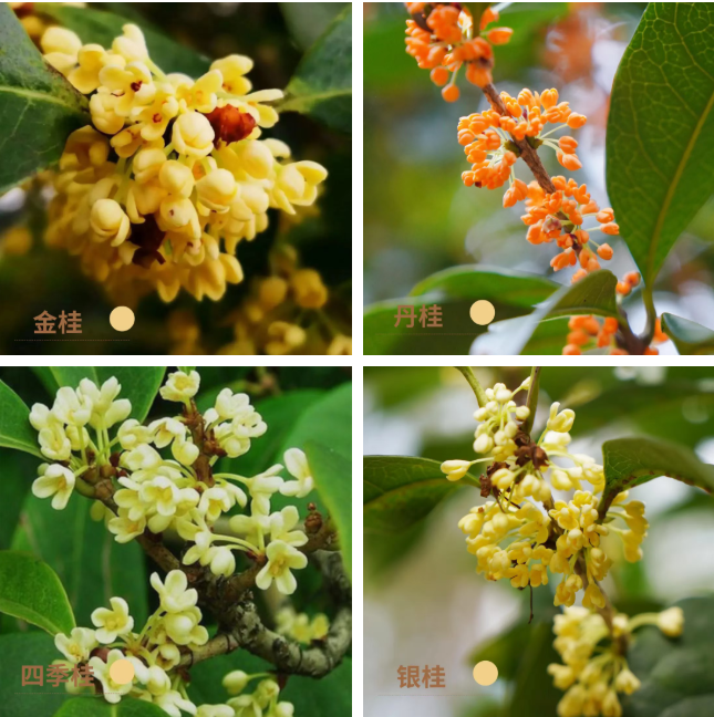 微信图片_2026-09-21_080513_348.png