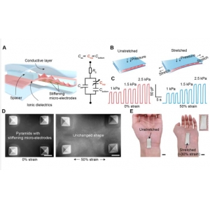 天津大学团队破解柔性可穿戴压力传感器国际难题
