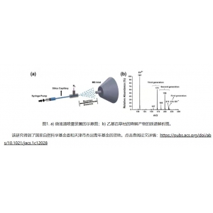 南开团队揭示百草枯在小水滴中可实现自发超快降解