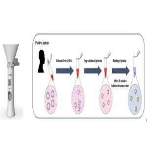 新冠病毒核酸快检新技术 – 口袋里的PCR