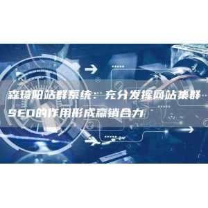 森琦阳站群系统：充分发挥网站集群SEO的作用形成赢销合力