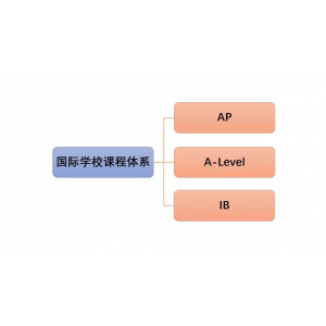 国际学校都开始哪些课程？