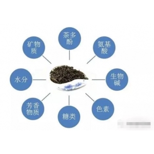 茶叶的组成部分茶色素