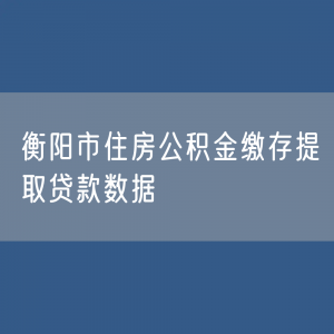 衡阳市住房公积金缴存提取贷款数据