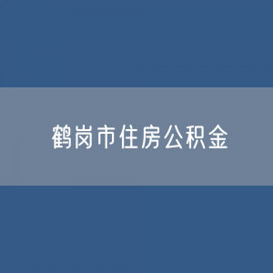 鹤岗市住房公积金缴存提取贷款数据