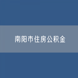 南阳市住房公积金缴存提取贷款数据