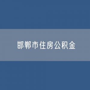 邯郸市住房公积金缴存提取贷款数据