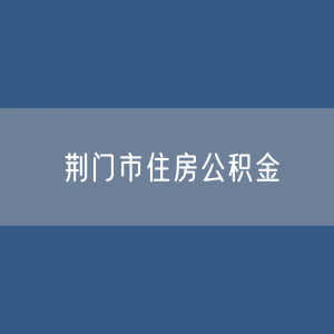 荆门市住房公积金缴存提取贷款数据