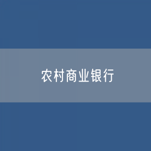 北京上海天津重庆农村商业银行