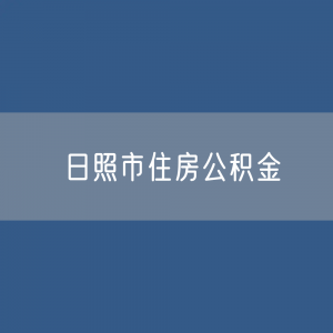 日照市住房公积金缴存提取贷款数据