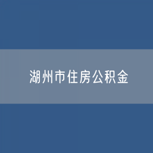 湖州市住房公积金缴存提取贷款数据