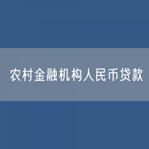 农村金融机构人民币贷款余额是多少？