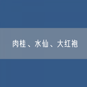 如何区分肉桂、水仙、大红袍？