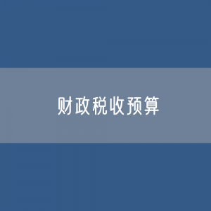 财政税收预算收入支出是多少？