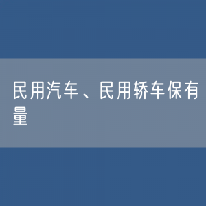 全国民用汽车、民用轿车保有量分别有多少？