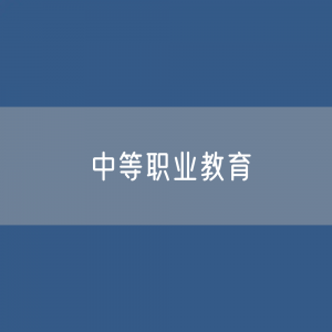 中等职业教育招生、在校生、毕业生人数？