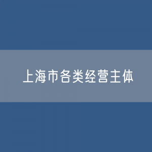 上海市各类经营主体有多少？