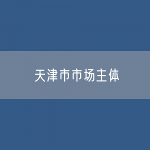 天津市市场主体总数有多少？