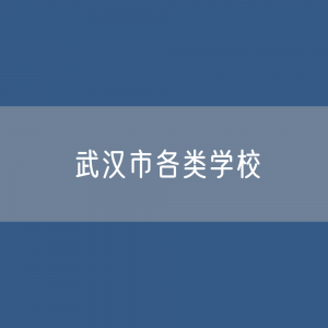 武汉市各类学校招生、在校生、毕业生数据