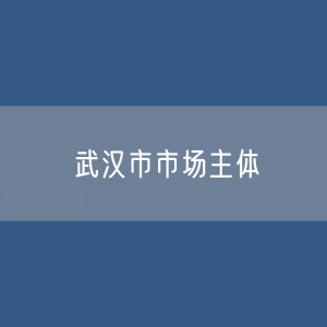 武汉市有多少市场主体？