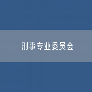 第十届中华全国律师协会刑事专业委员会