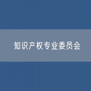 第十届中华全国律师协会知识产权专业委员会