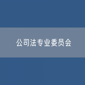 第十届中华全国律师协会公司法专业委员会