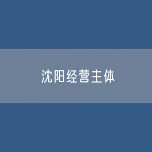 沈阳有多少市经营主体？