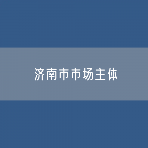 济南市又多少市场主体？