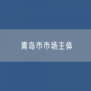 青岛市有多少市场主体？