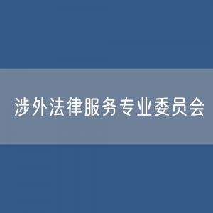 第十届中华全国律师协会涉外法律服务专业委员会