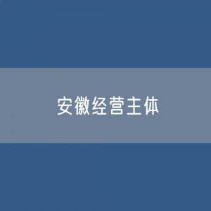 安徽有多少经营主体？