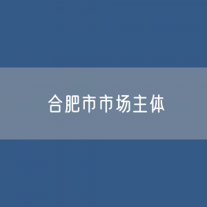 合肥市有多少市场主体？