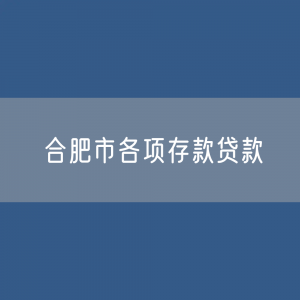 合肥市各项存款、贷款数据