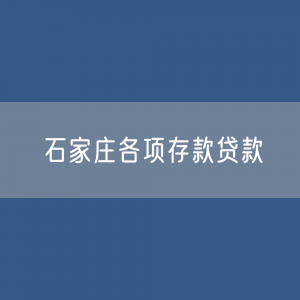 石家庄各项存款、贷款数据