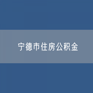 宁德市住房公积金缴存提取贷款数据