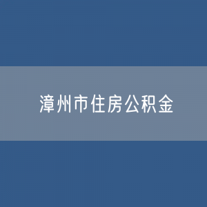 漳州市住房公积金缴存提取贷款数据