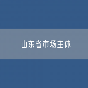 山东省有多少市场主体？