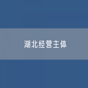 湖北全省经营主体有多少？