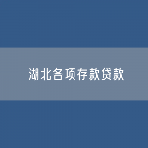 湖北各项存款、贷款余额是多少？