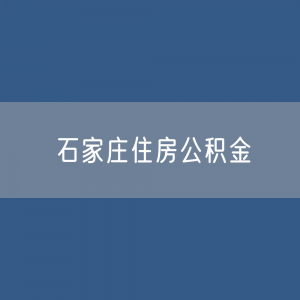 石家庄住房公积金缴存提取贷款数据