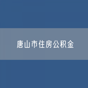 唐山市住房公积金缴存提取贷款数据