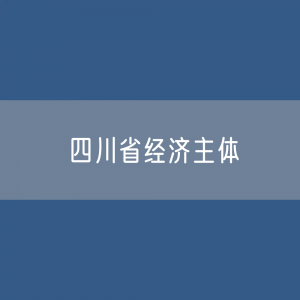 四川省有多少经济主体？