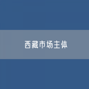 西藏有多少市场主体？