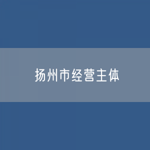 扬州市有多少经营主体？