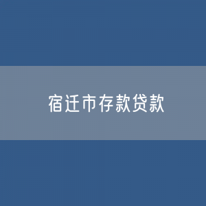 宿迁市存款、贷款余额是多少？